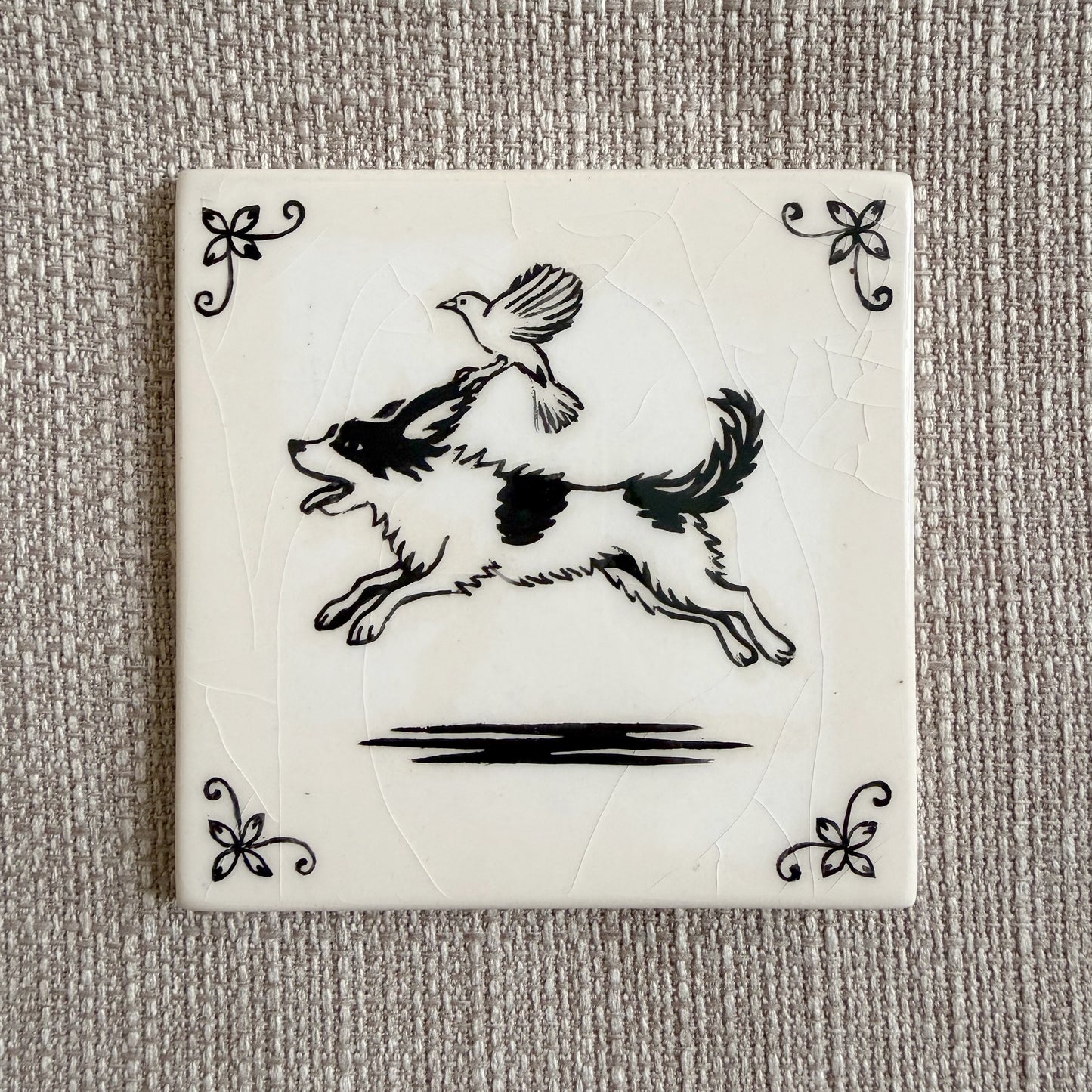 Dog & Bird