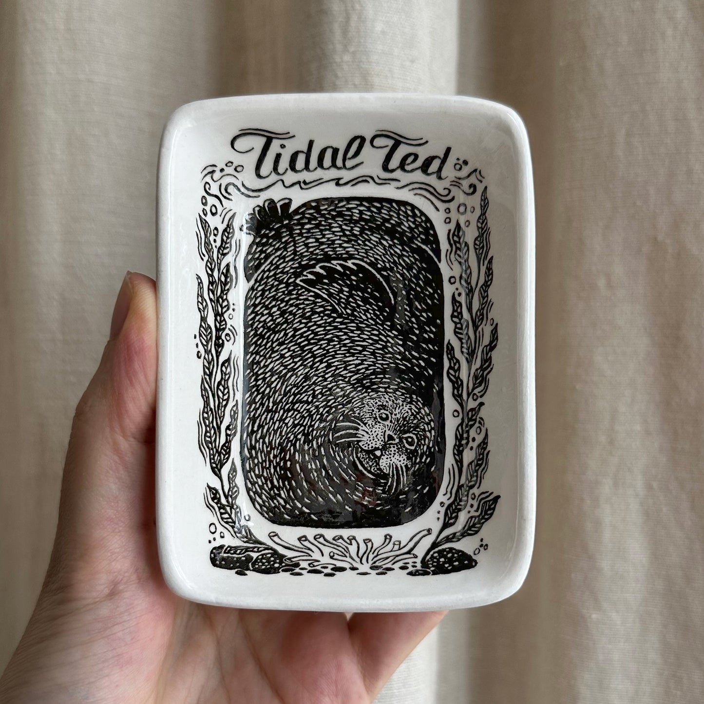 Tidal Ted